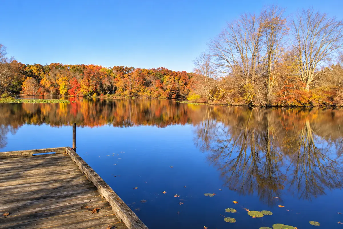 Turkey Swamp Park